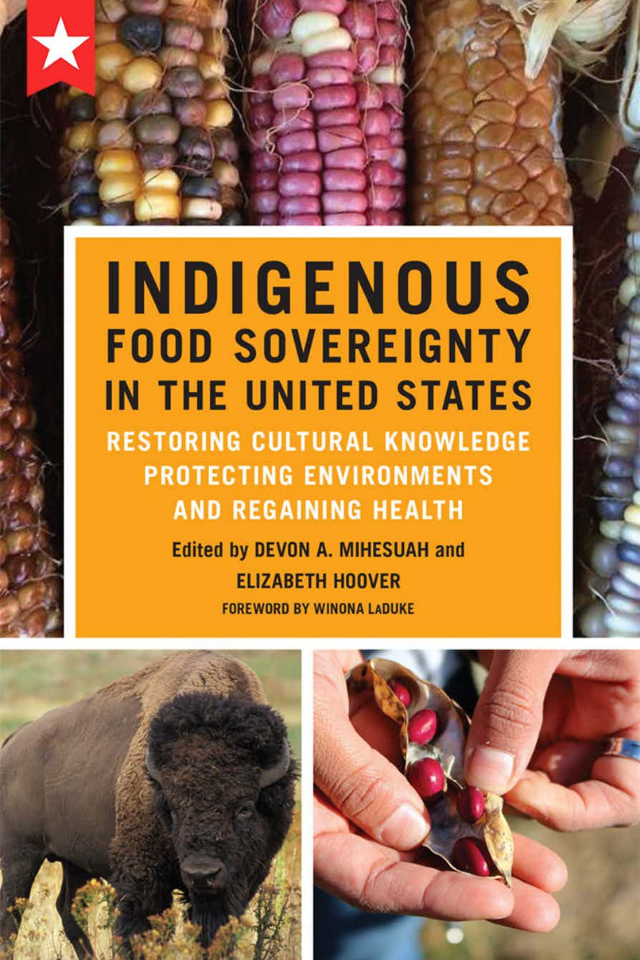 indigenous food cover book