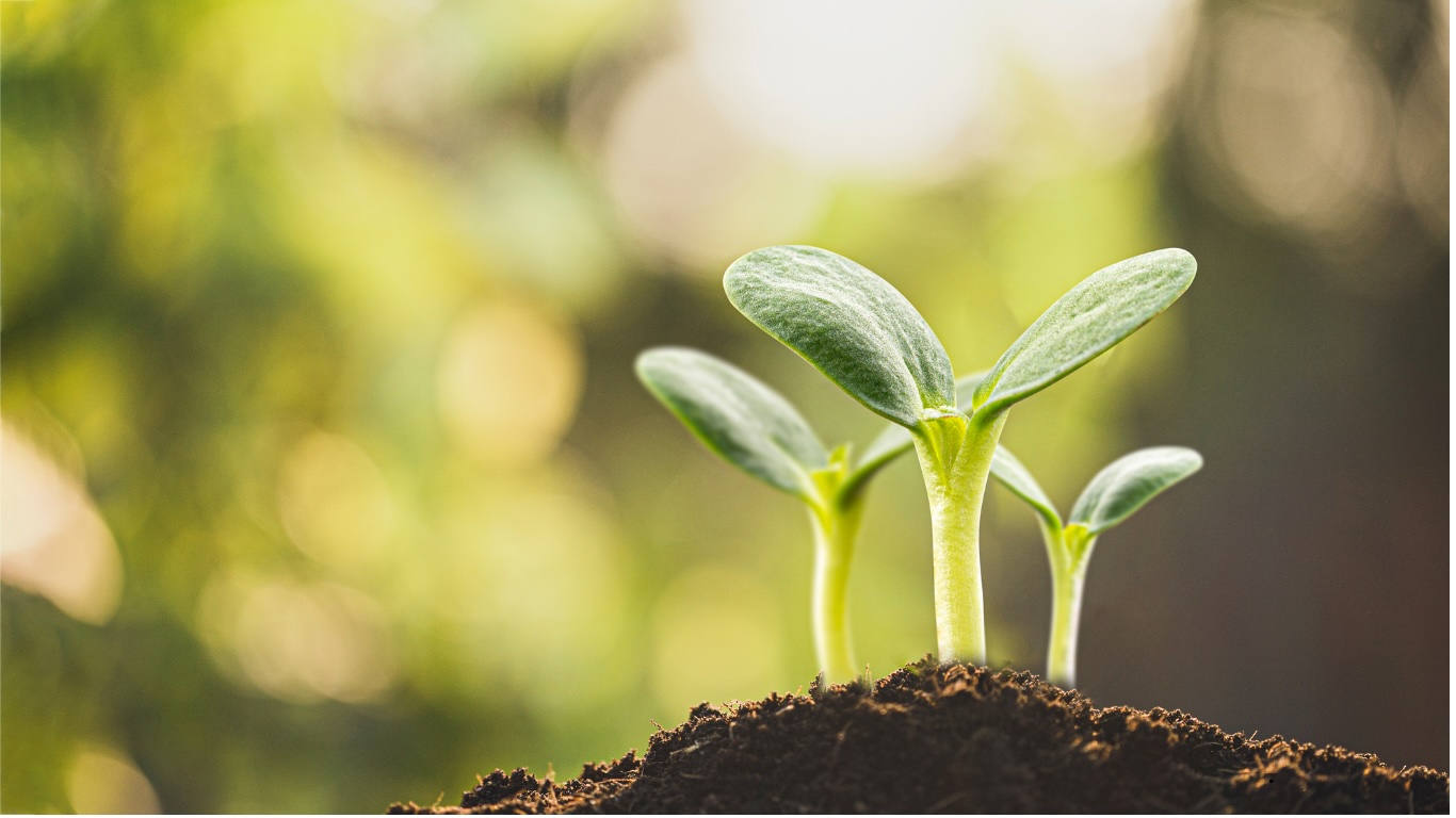 Let's Grow Together – Center for Resilient Communities