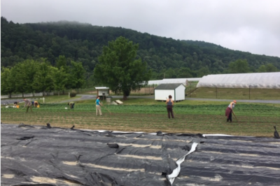 Livelihoods and Grassroots Economic Development