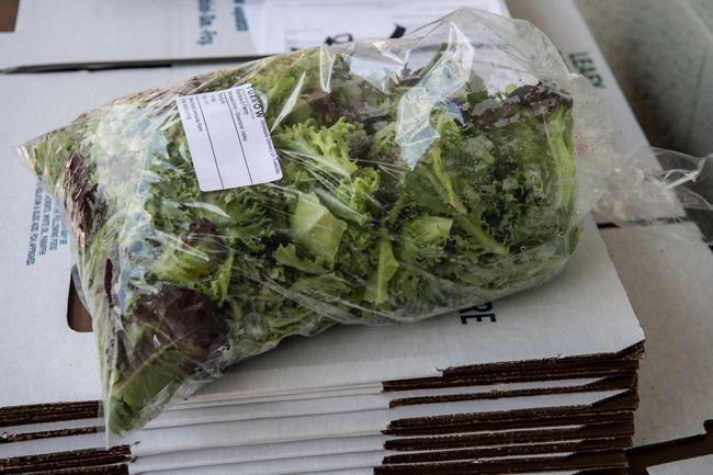 Bag of lettuce on box